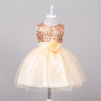 Baby Sequin Dress